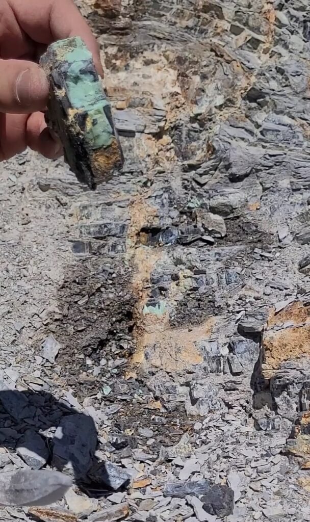 mint green Orvil Jack turquoise slab coming out of an active vein in the mine showing golden-brown and grey host rock matrix